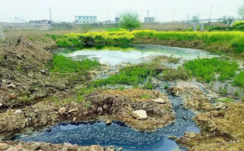 黑龍江省2024年農(nóng)村生活污水、黑臭水體治理工作方案出爐！