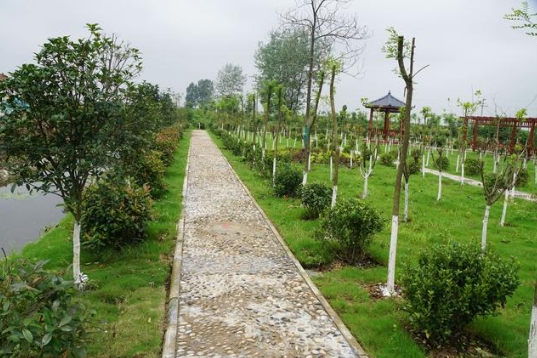 福建省生態(tài)環(huán)境廳、農(nóng)業(yè)農(nóng)村廳關(guān)于進(jìn)一步加強(qiáng)農(nóng)村生活污水治理工作的通知！